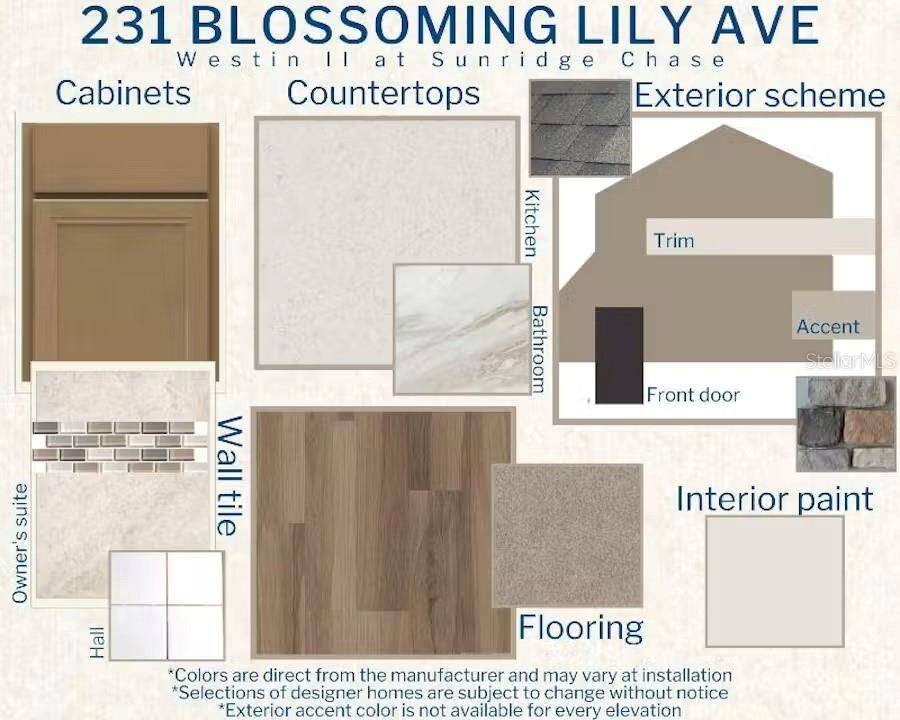 231 BLOSSOMING LILY AVE, Ruskin, FL 33570
