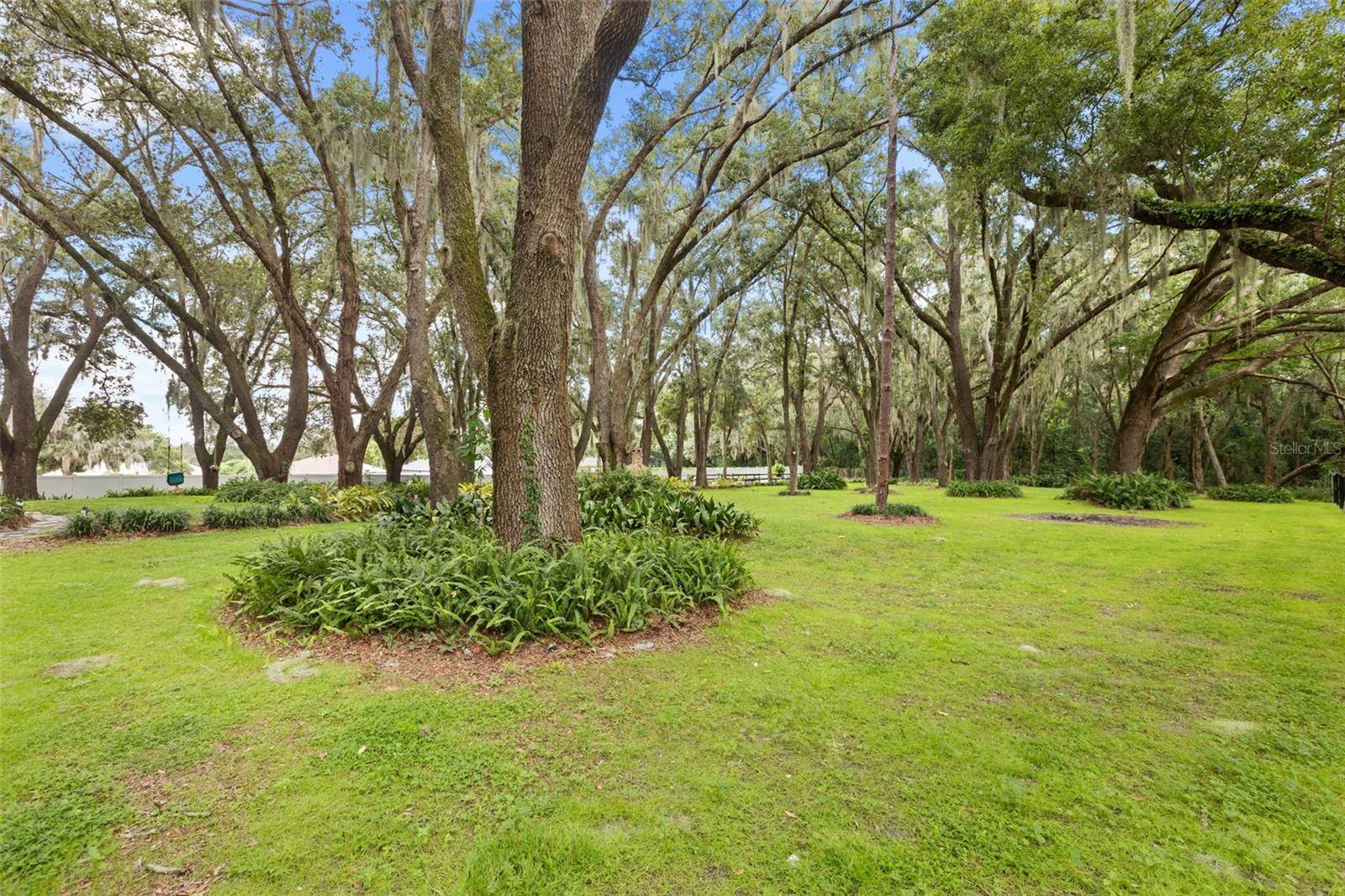 144 TILDENVILLE SCHOOL RD, Winter Garden, FL 34787