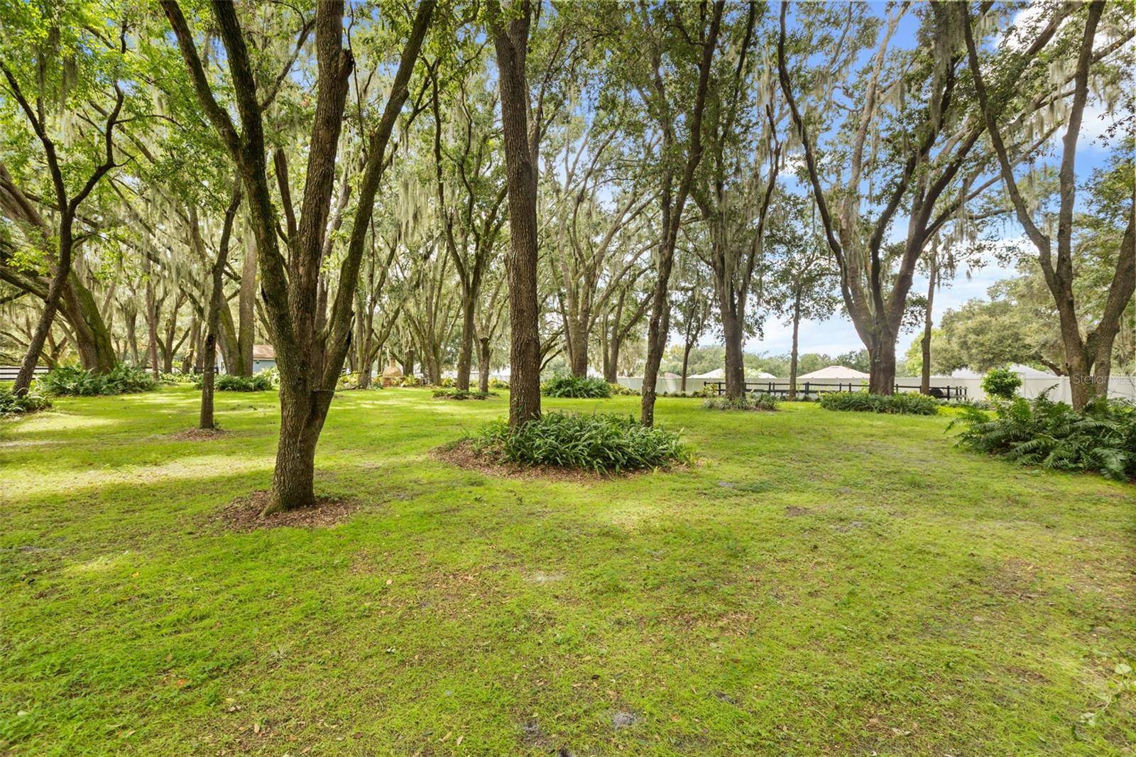 144 TILDENVILLE SCHOOL RD, Winter Garden, FL 34787