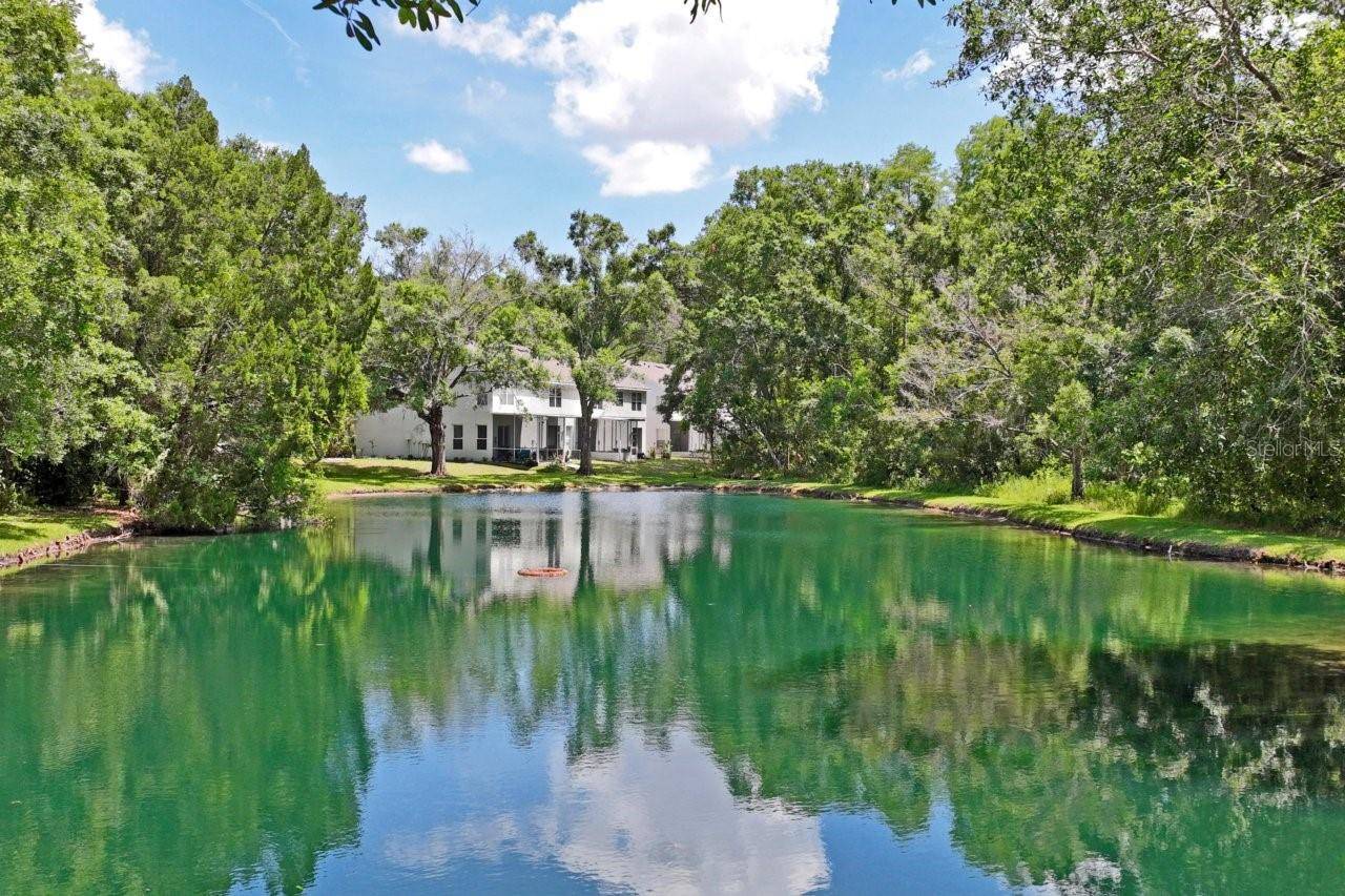 12742 WOOD TRAIL BLVD BLVD, Tampa, FL 33625