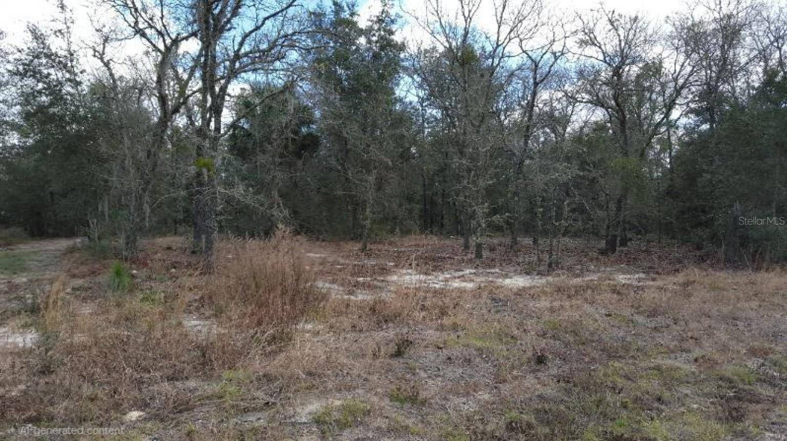0 SE 88TH CT, Summerfield, FL 34491