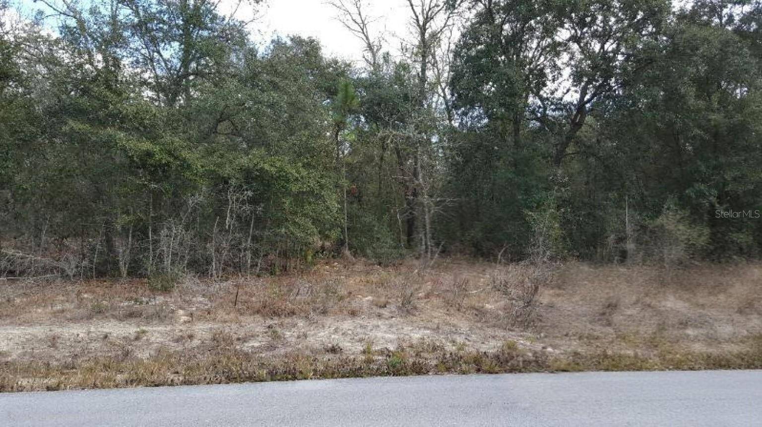 0 SE 88TH CT, Summerfield, FL 34491