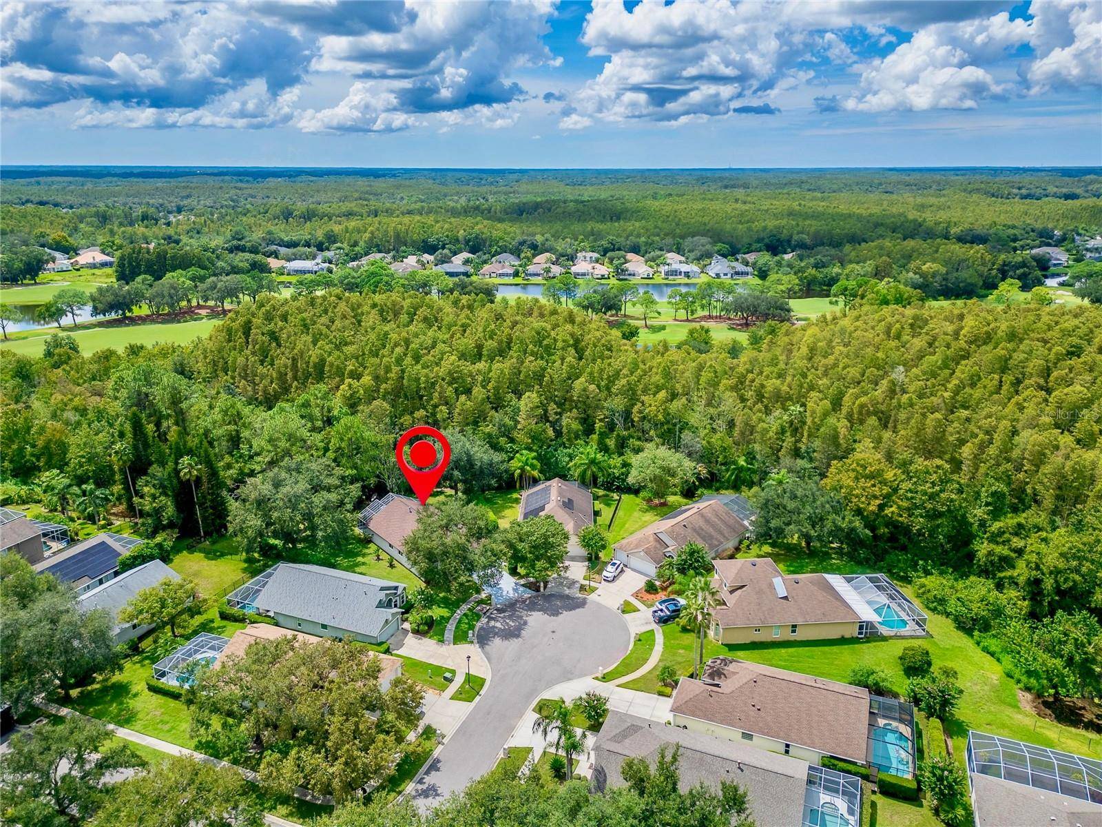 6106 CHALON CT, Lutz, FL 33558