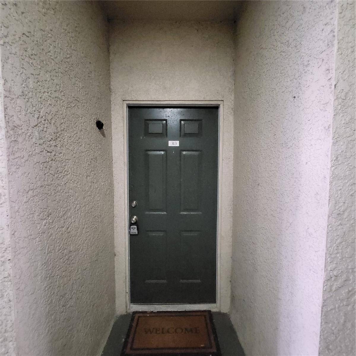 17102 CARRINGTON PARK DR #313, Tampa, FL 33647