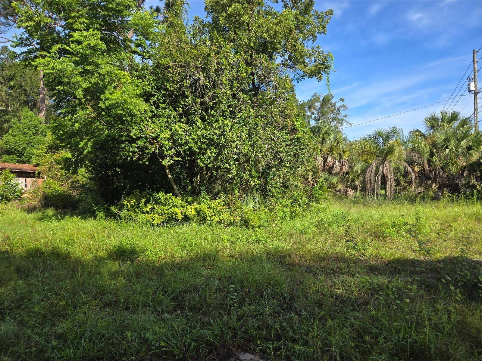 5028 MOUNT PLYMOUTH RD, Apopka, FL 32712