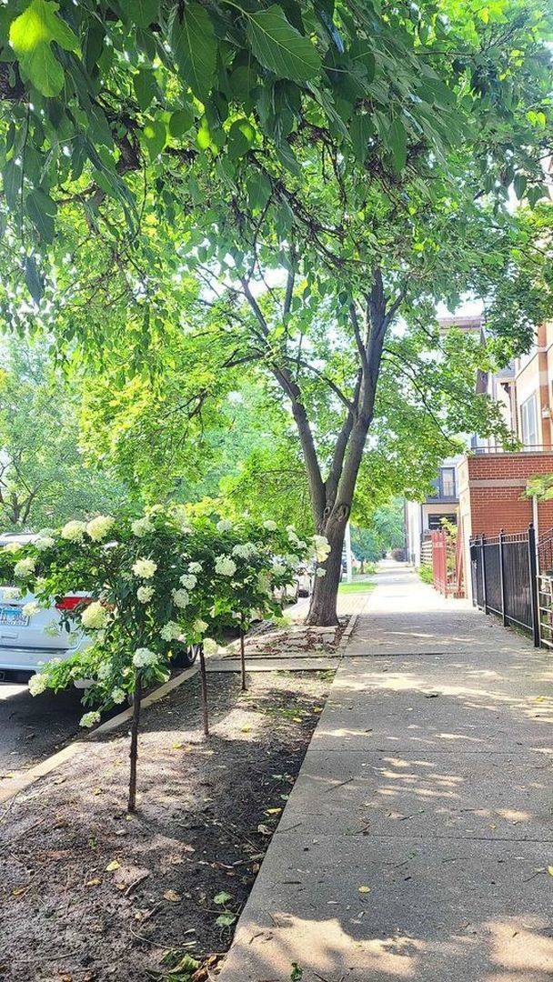 2024 N Wolcott AVE #CH-1R, Chicago, IL 60614