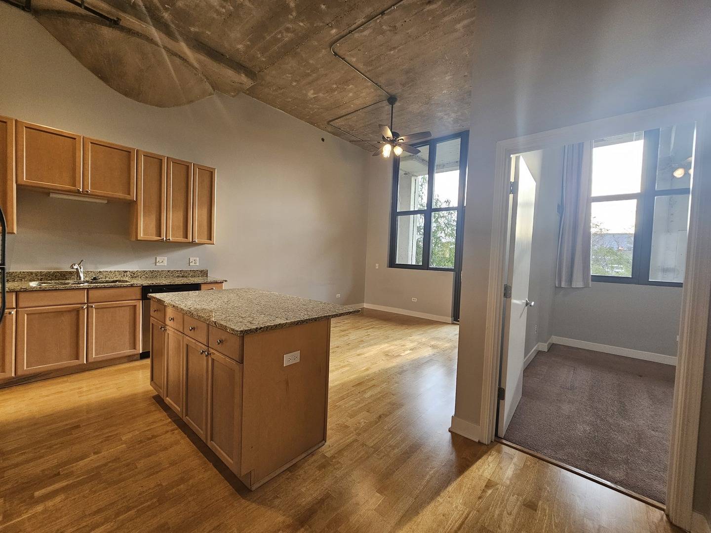 320 E 21st ST #208, Chicago, IL 60616