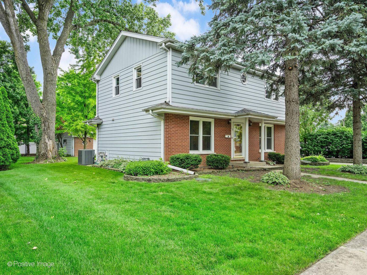 113 N Oak ST, Elmhurst, IL 60126