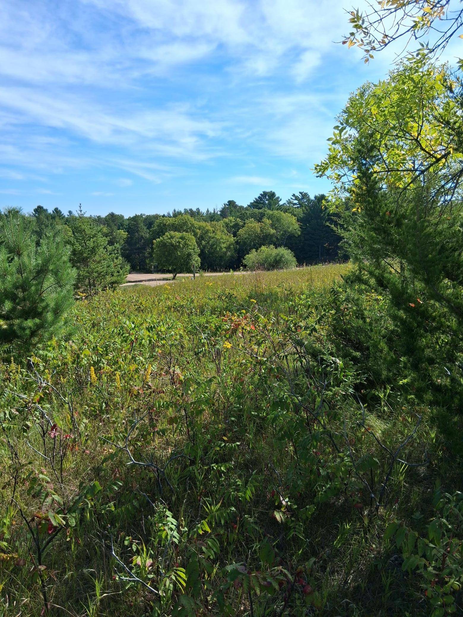 TBD Overland DR, Browerville, MN 56438