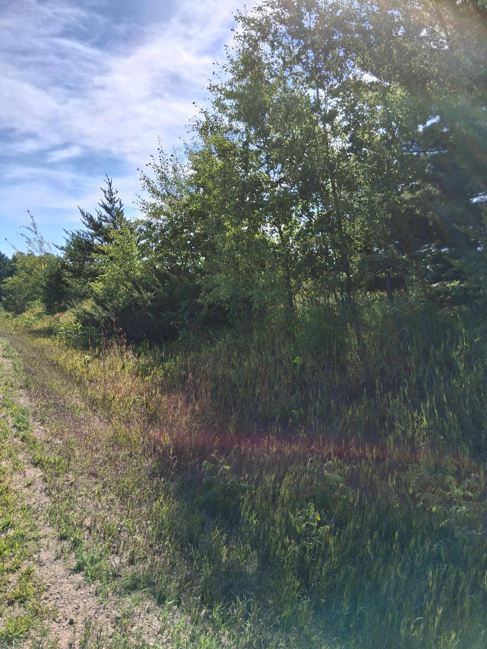 TBD Overland DR, Browerville, MN 56438