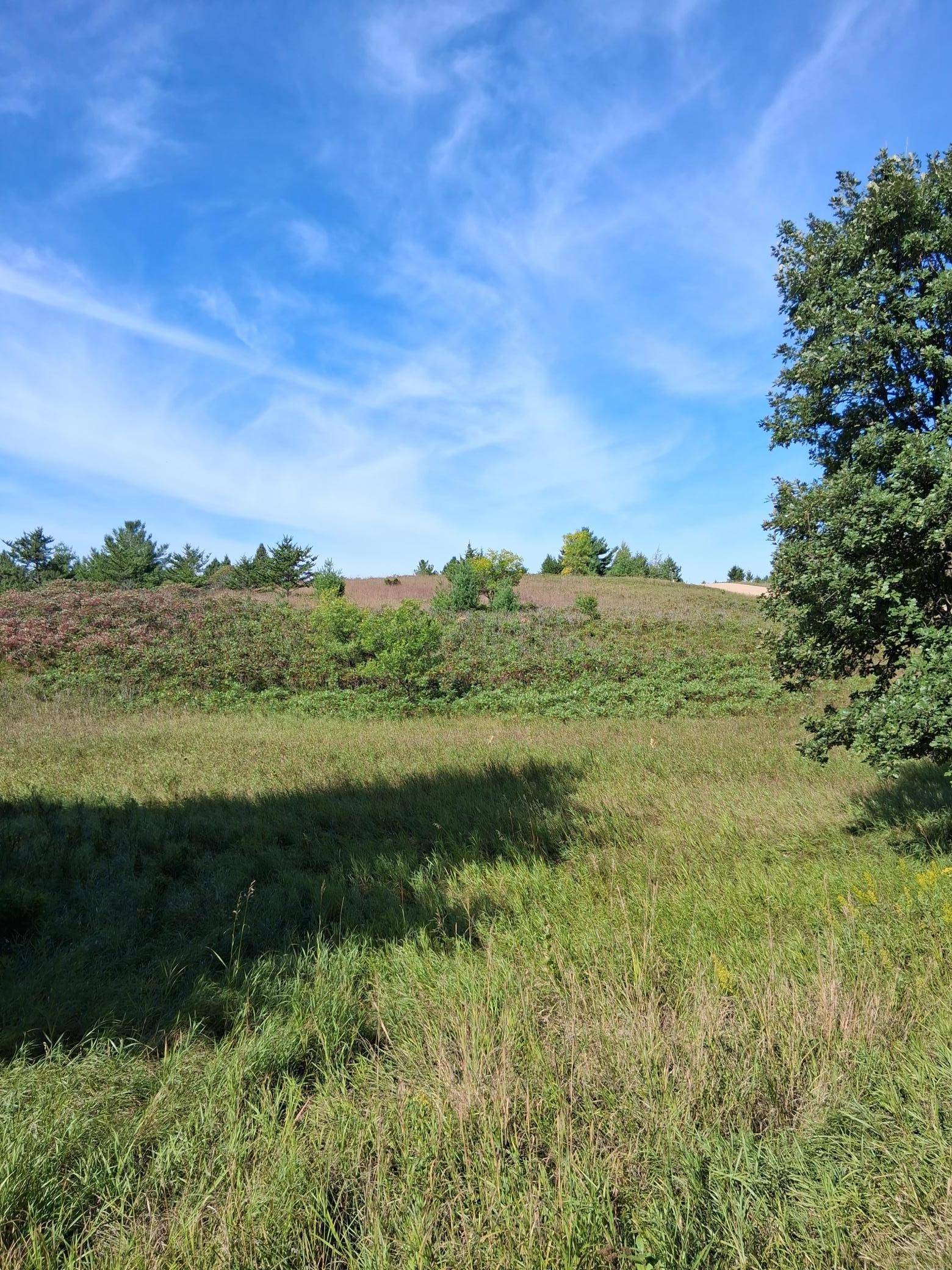 TBD Overland DR, Browerville, MN 56438