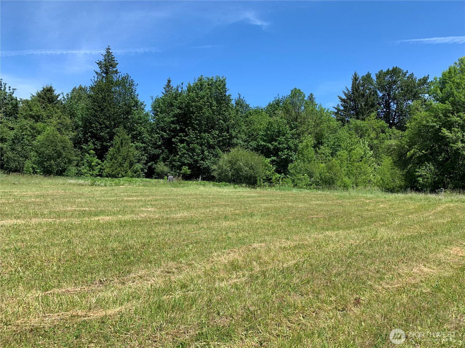 171 Mask LN, Toutle, WA 98649