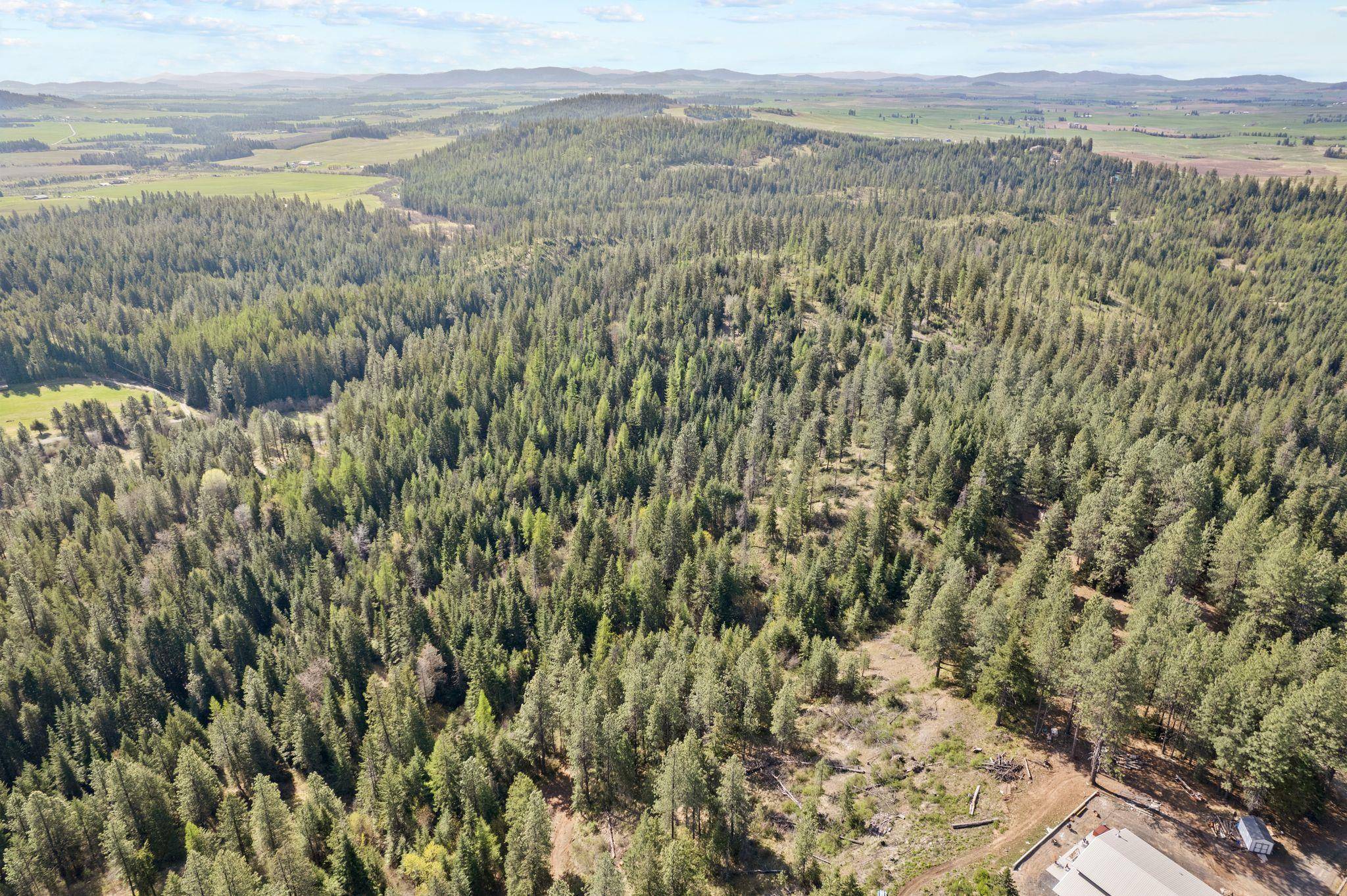12703 S Alpine Fern Ln, Rockford, WA 99030