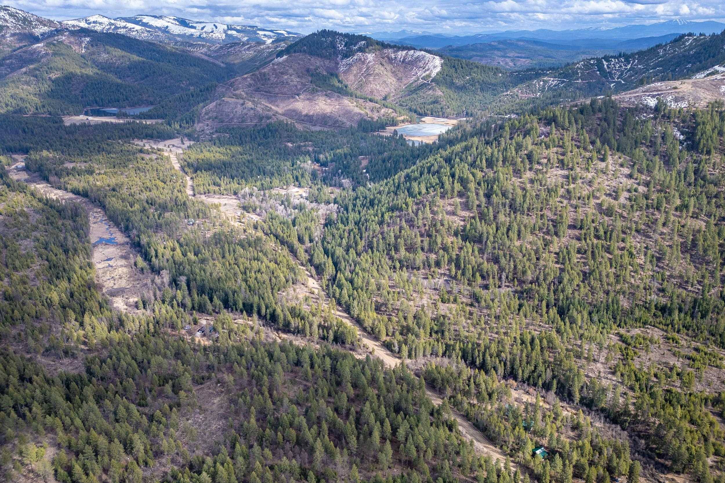 41XX Grouse Creek Rd, Loon Lake, WA 99148