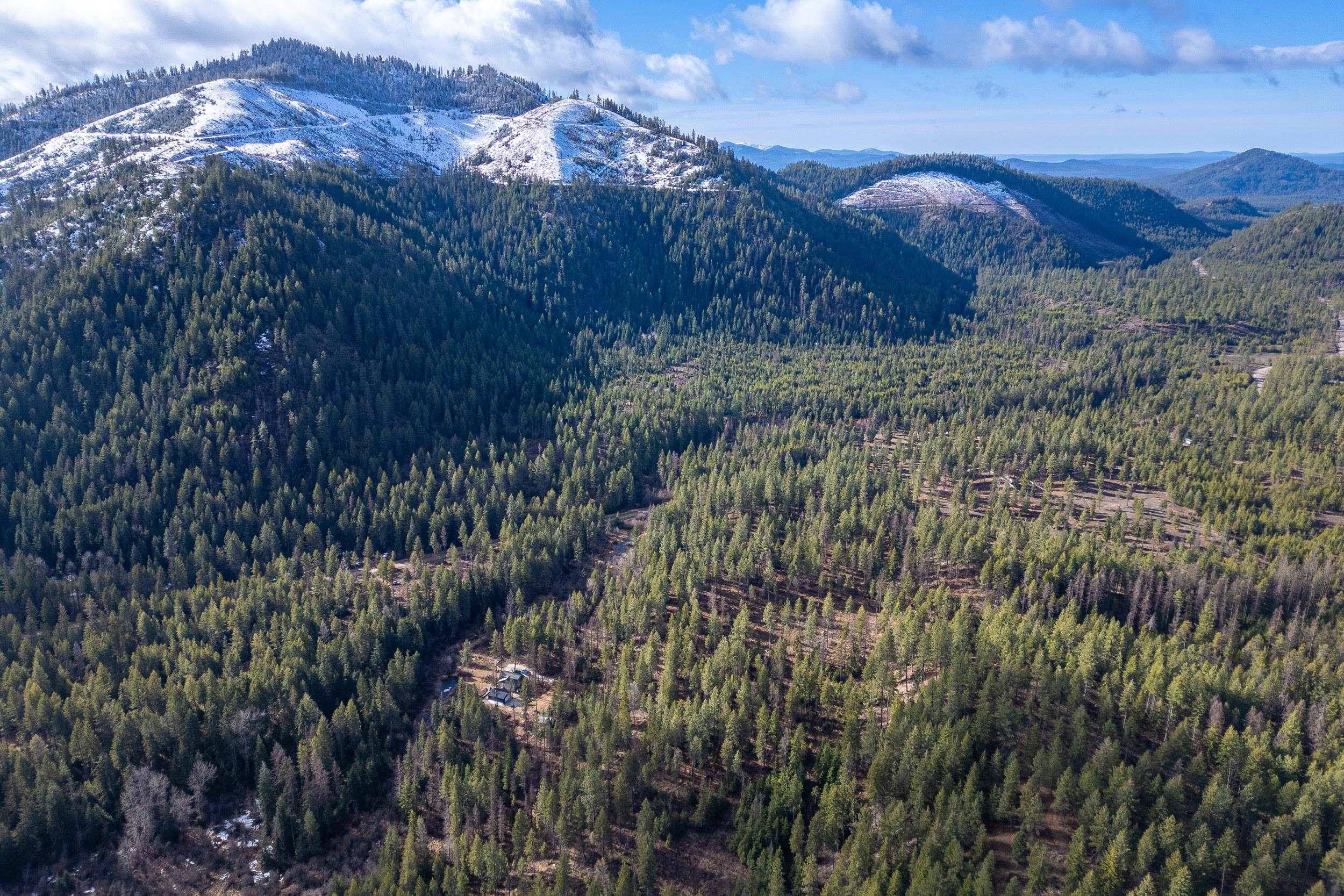 41XX Grouse Creek Rd, Loon Lake, WA 99148