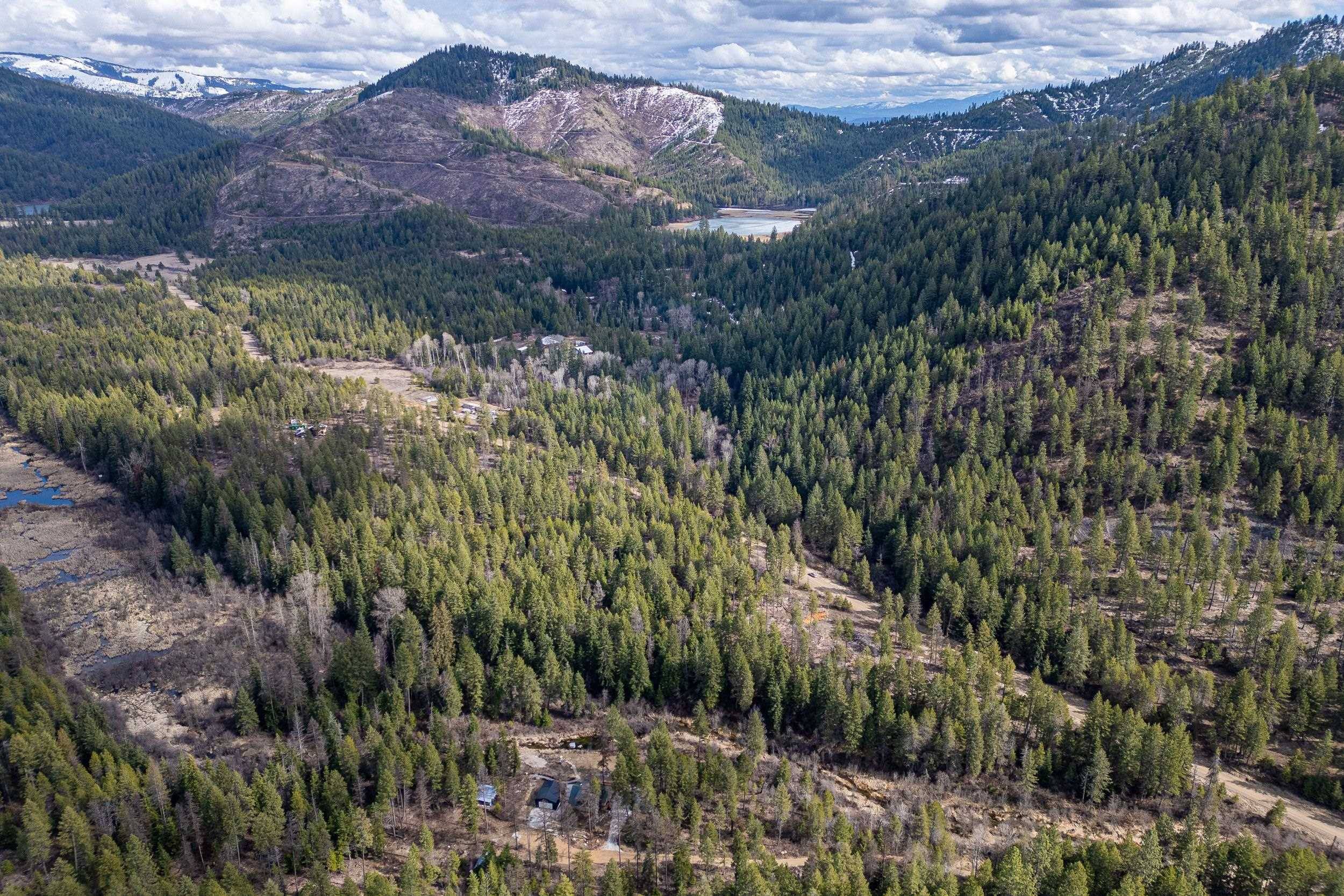 41XX Grouse Creek Rd, Loon Lake, WA 99148