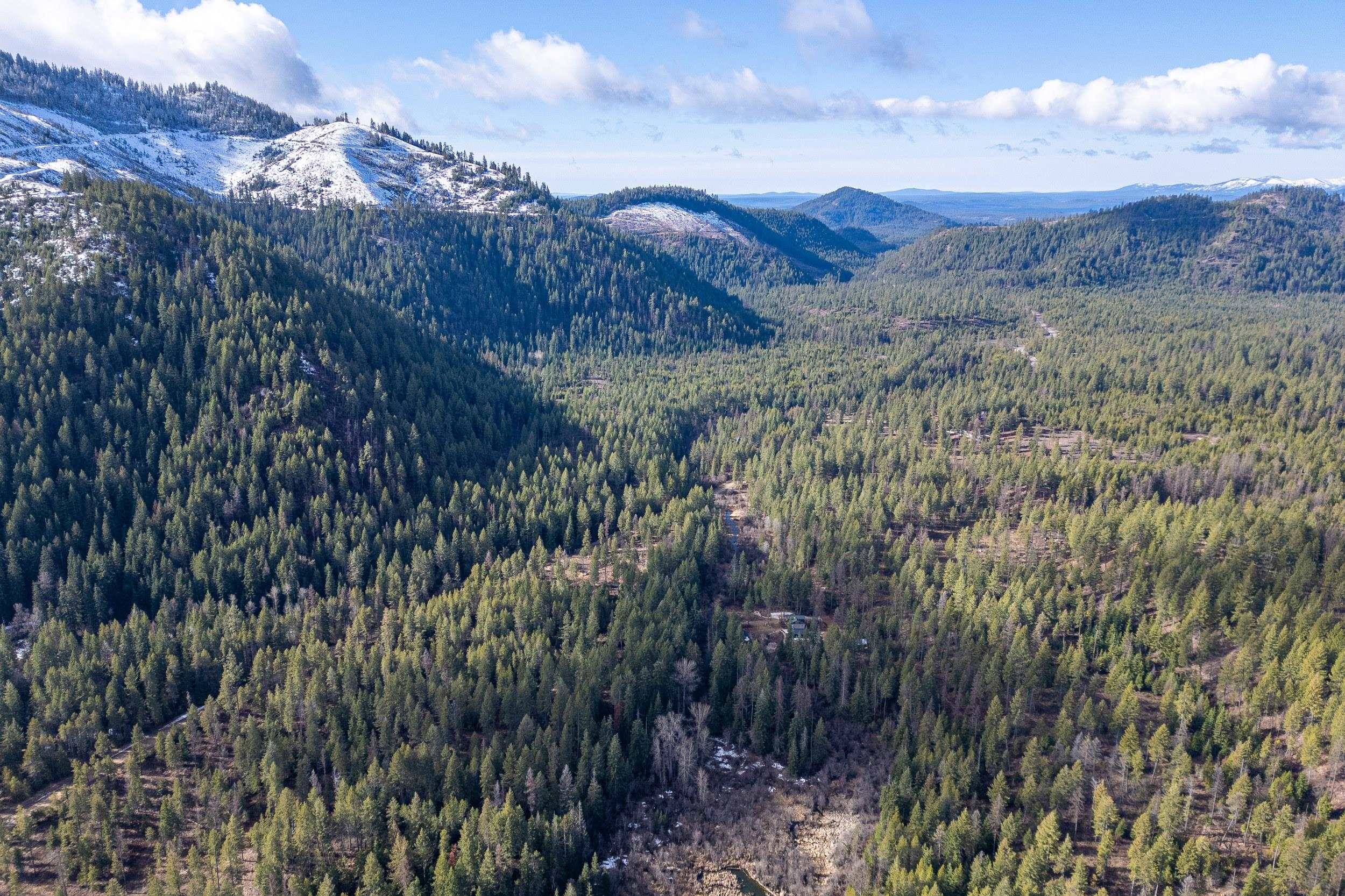 41XX Grouse Creek Rd, Loon Lake, WA 99148