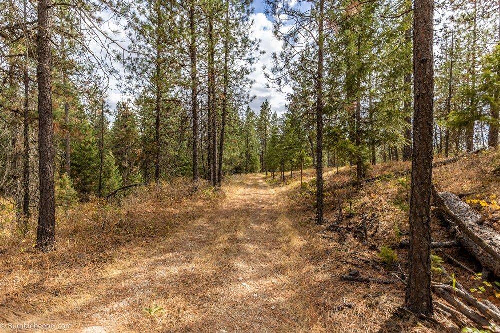 0 N Vista Cir #Lot 6, Colbert, WA 99005
