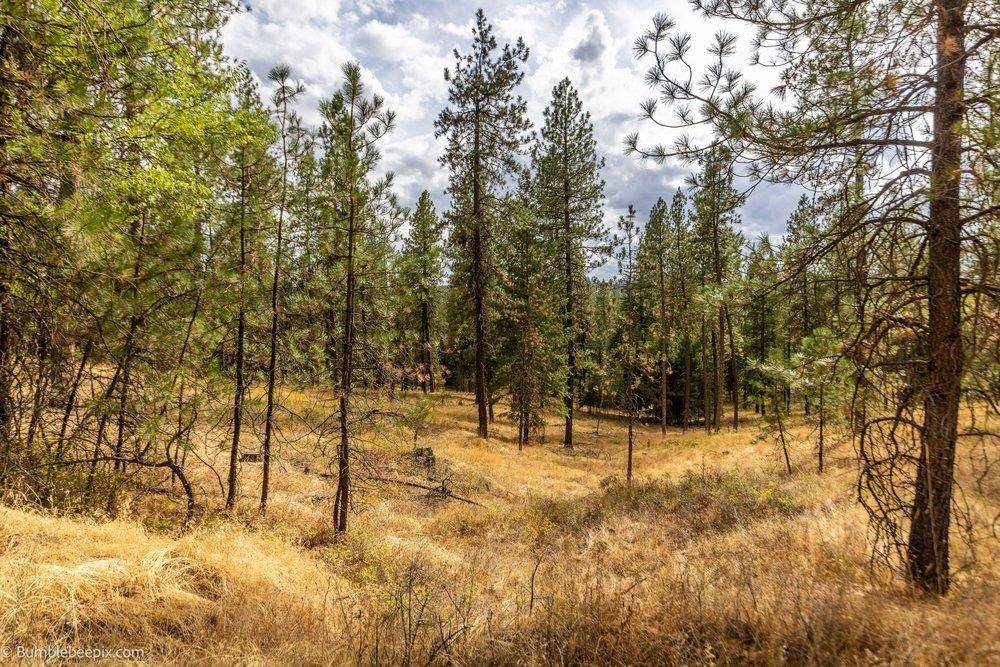 0 N Vista Cir #Lot 6, Colbert, WA 99005