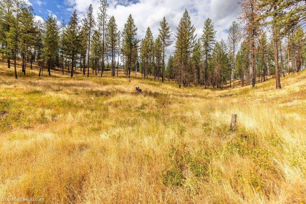 0 N Vista Cir #Lot 6, Colbert, WA 99005