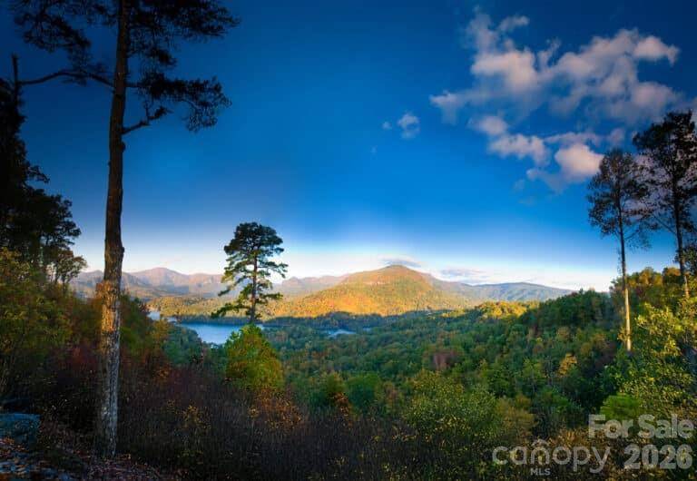 31 High Rock RDG #31, Lake Lure, NC 28746