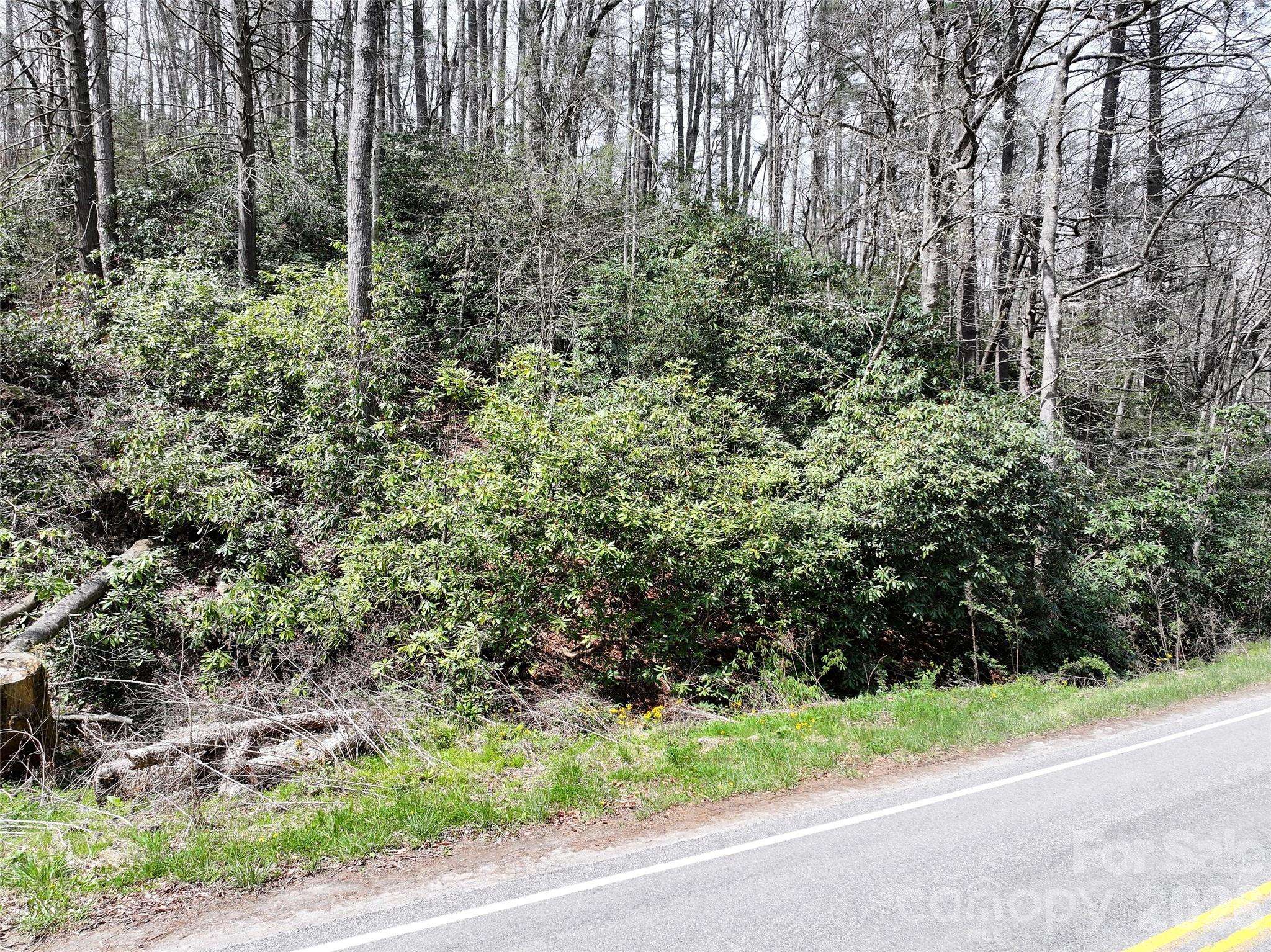 00 White Oak RD, Waynesville, NC 28785