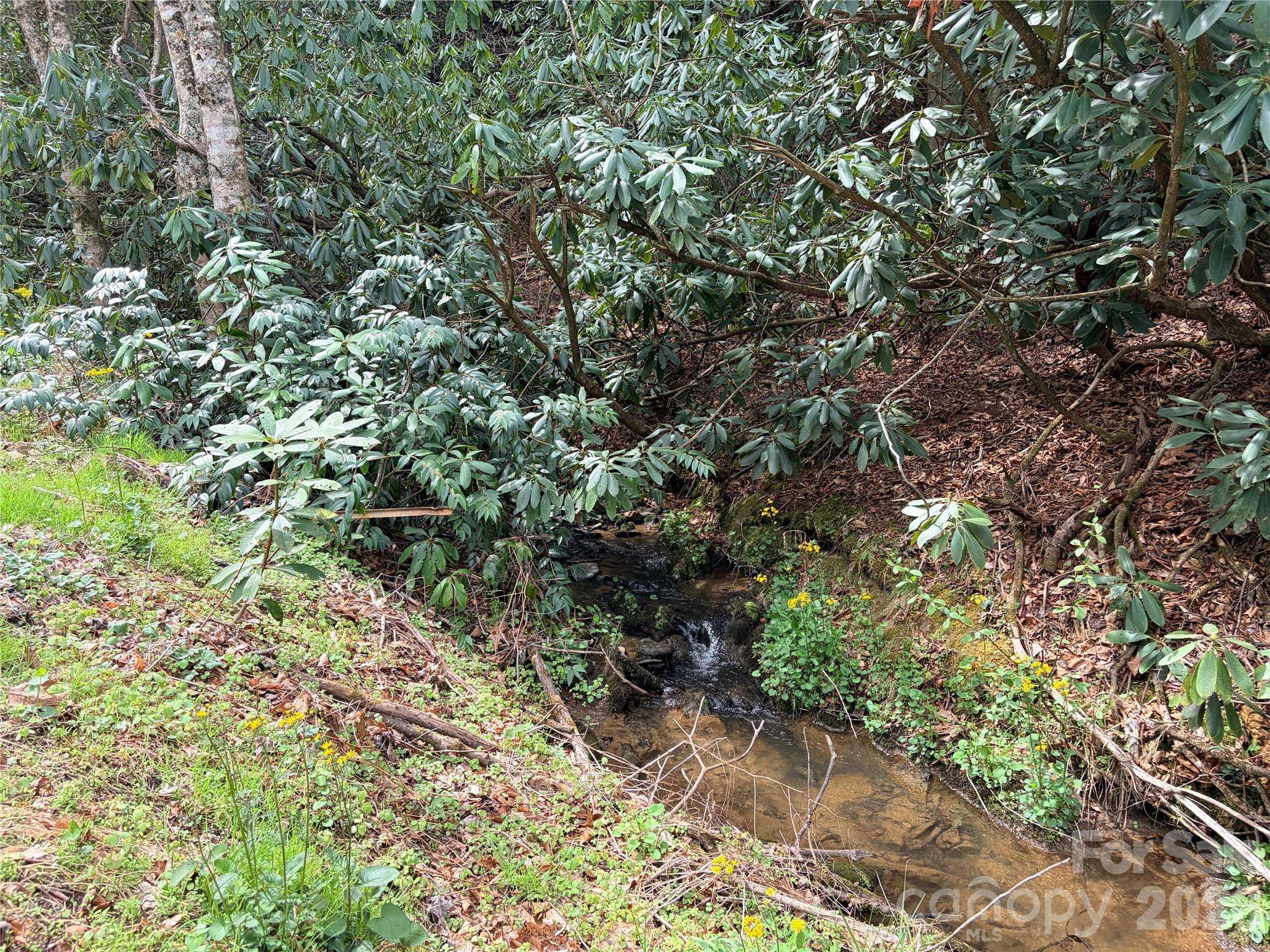 00 White Oak RD, Waynesville, NC 28785
