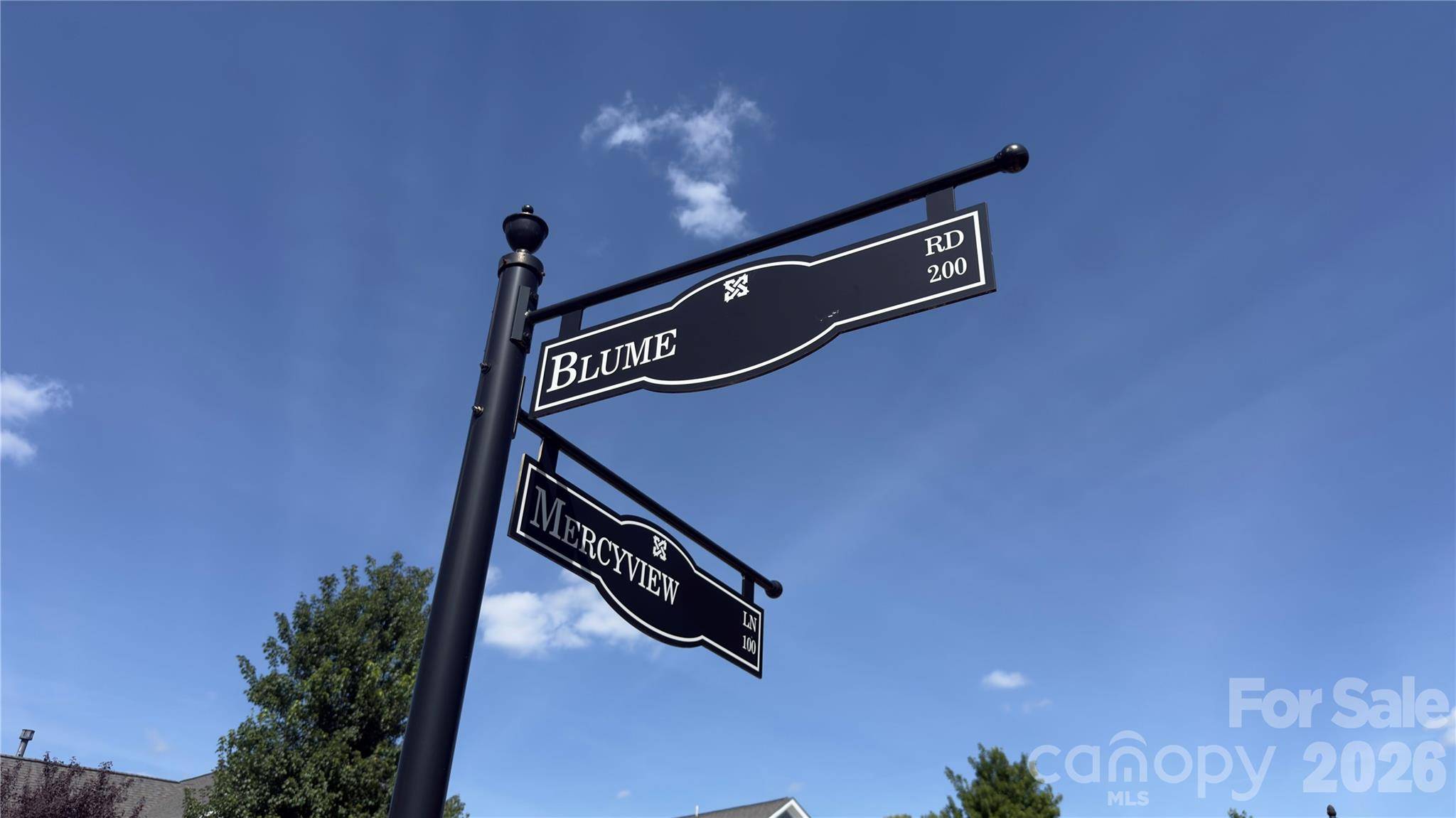 118 Mercyview LN, Mooresville, NC 28117