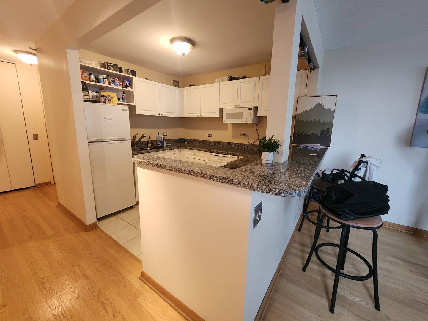 3660 N Lake Shore DR #1105, Chicago, IL 60613