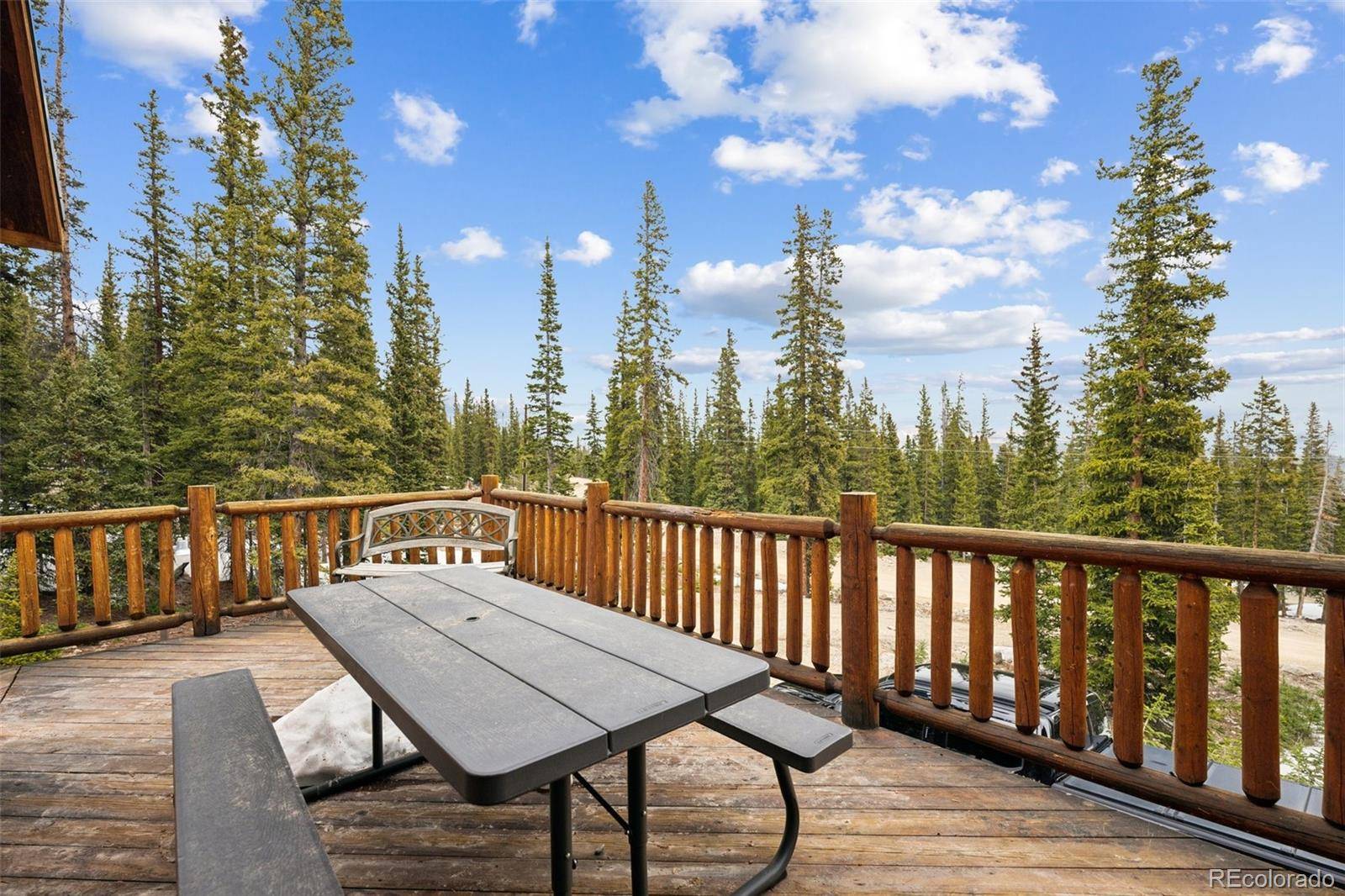 585 Miners WAY, Fairplay, CO 80440