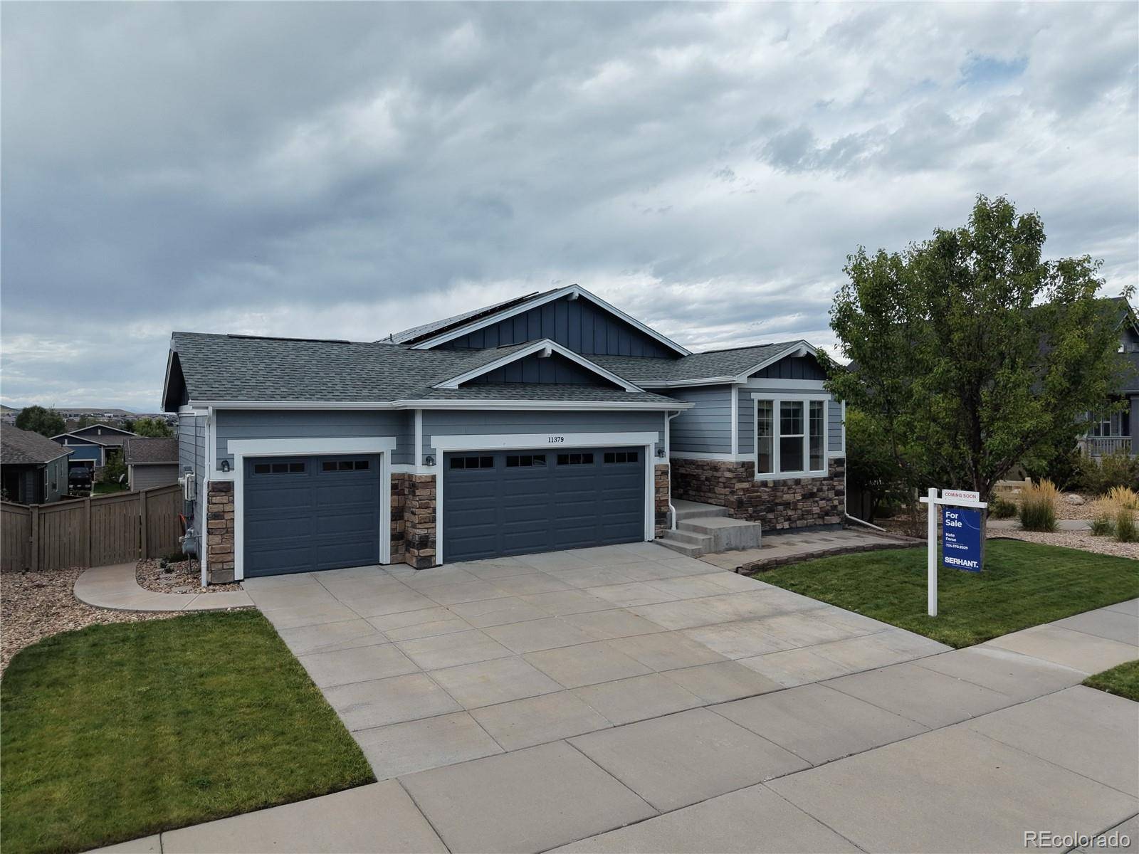 11379 Lovage WAY, Parker, CO 80134