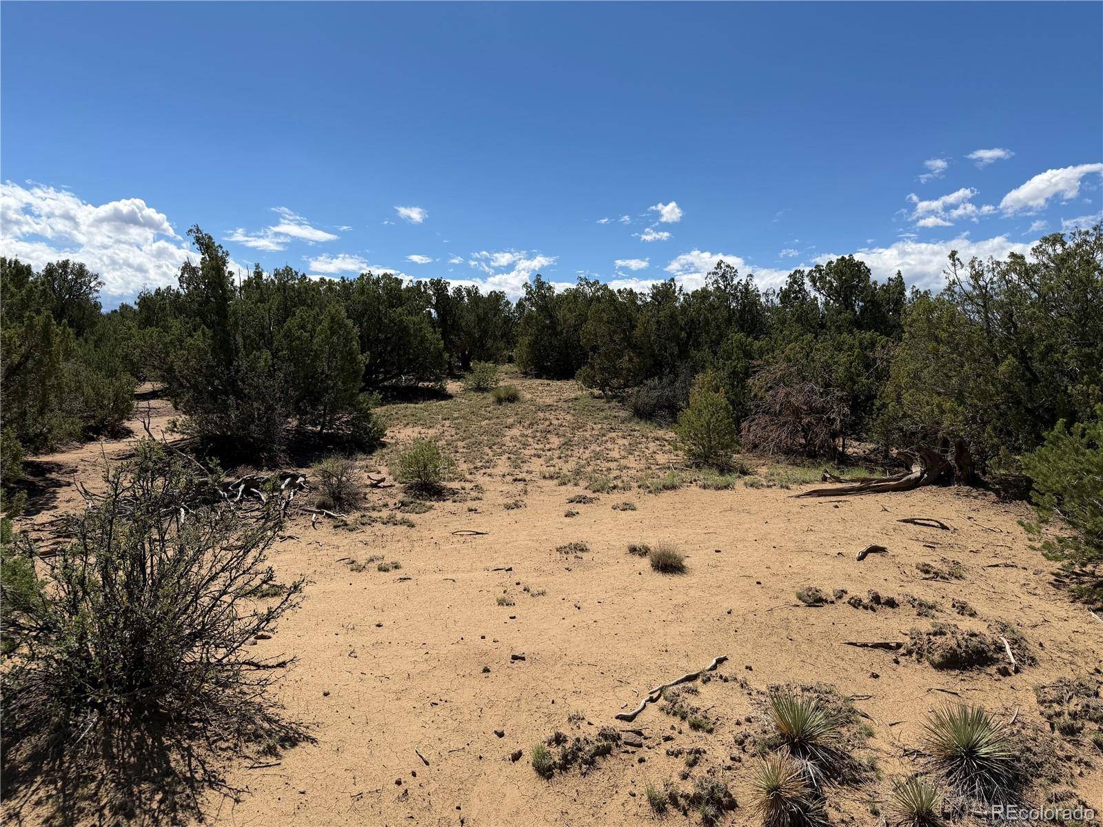 Lots 81a & 101 Twin Lakes Ranch, Walsenburg, CO 81089