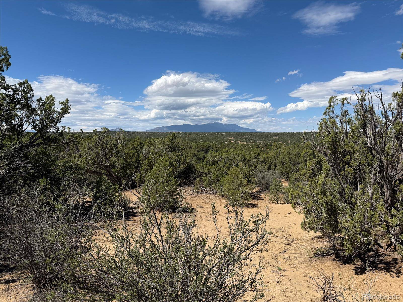 Lots 81a & 101 Twin Lakes Ranch, Walsenburg, CO 81089