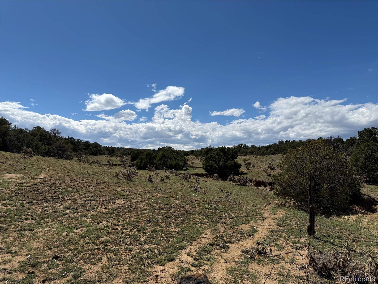 Lots 81a & 101 Twin Lakes Ranch, Walsenburg, CO 81089