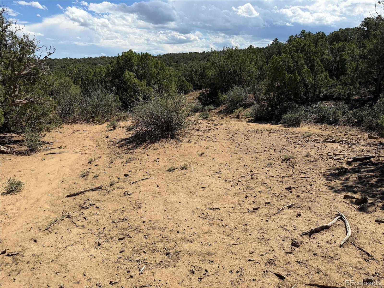 Lots 81a & 101 Twin Lakes Ranch, Walsenburg, CO 81089