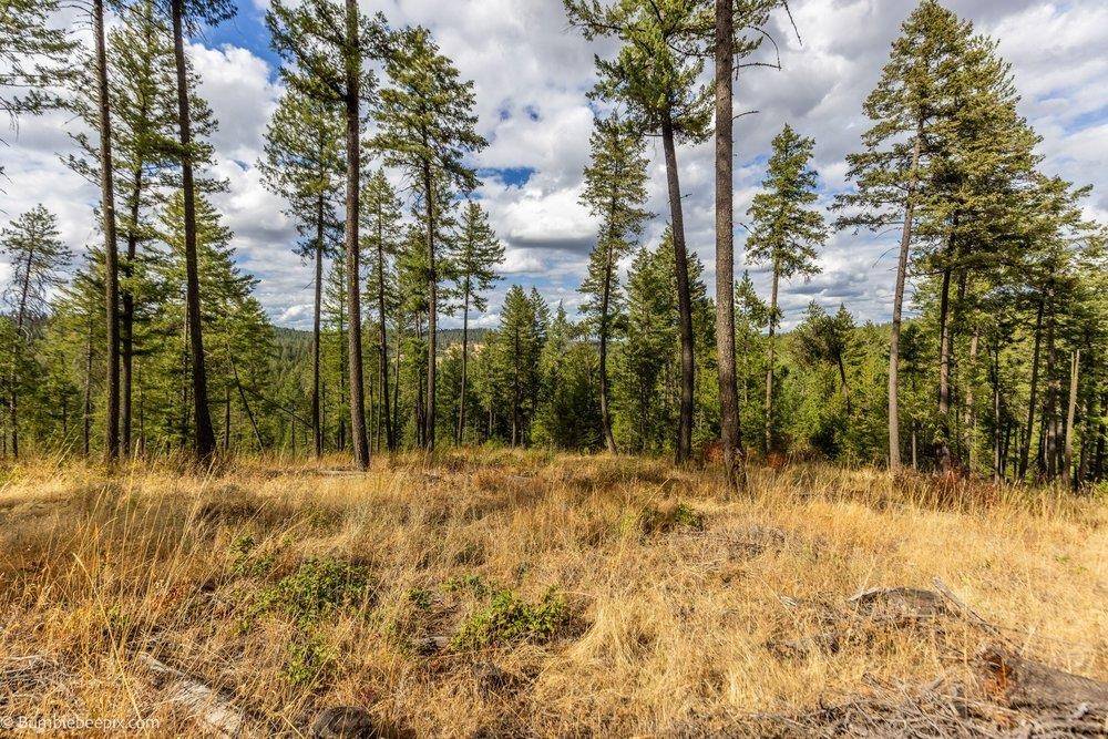 0 N Vista Cir #Lot 8, Colbert, WA 99005