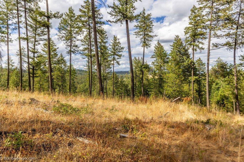 0 N Vista Cir #Lot 8, Colbert, WA 99005