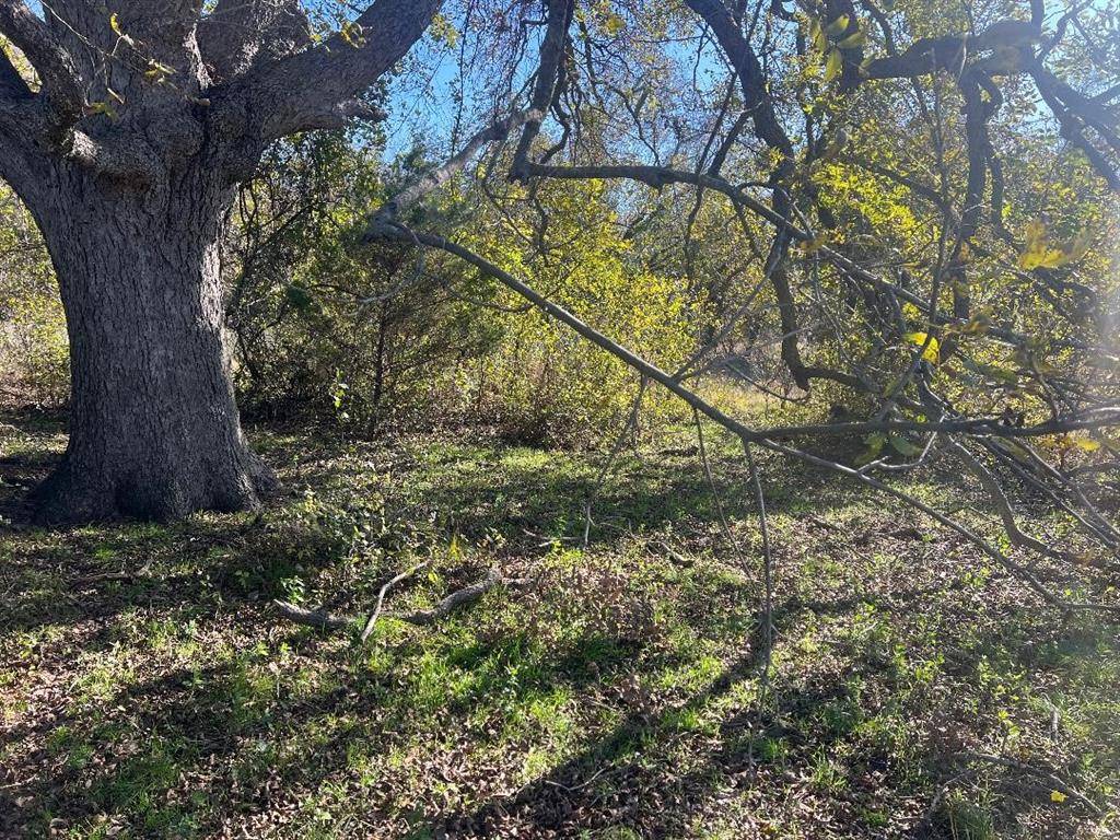 0000 LCR 454, Groesbeck, TX 76642
