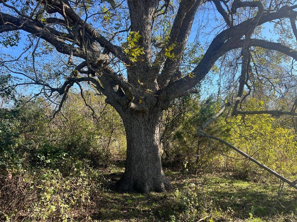 0000 LCR 454, Groesbeck, TX 76642