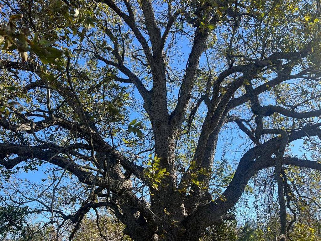 0000 LCR 454, Groesbeck, TX 76642