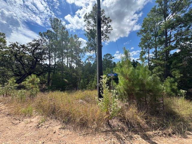 TBD Otto Lane & Red Fox RD, La Grange, TX 78945