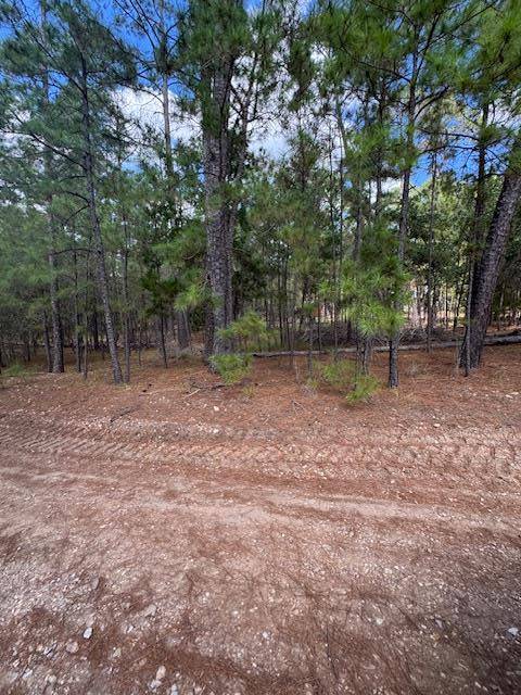TBD Otto Lane & Red Fox RD, La Grange, TX 78945