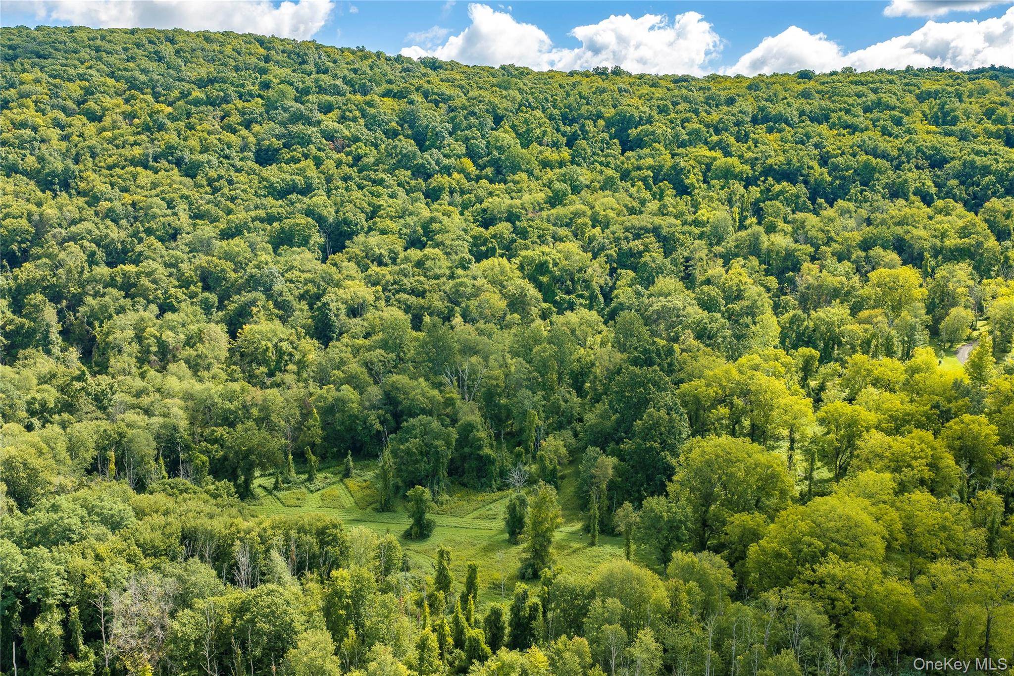 Route 22, Pawling, NY 12564