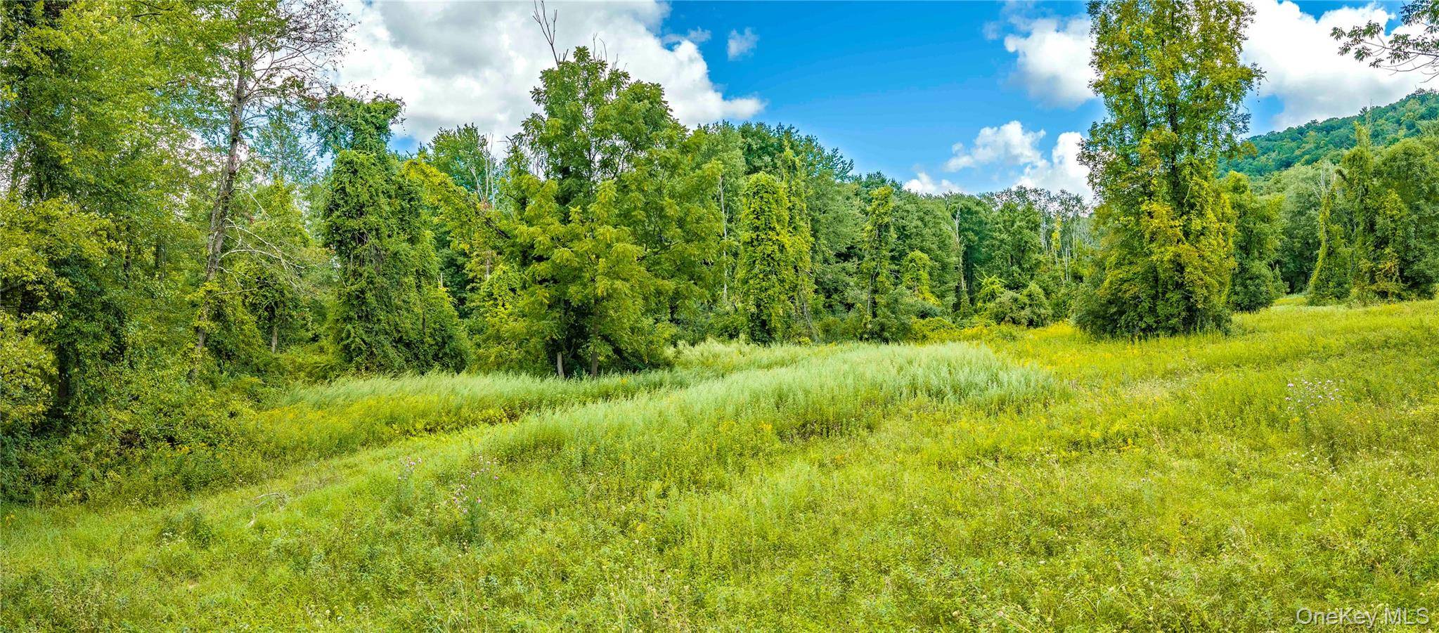 Route 22, Pawling, NY 12564
