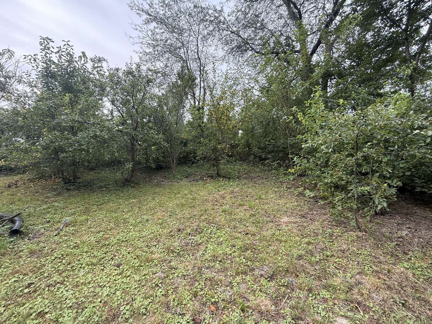 26253 Hwy 29 HWY, Depue, IL 61322