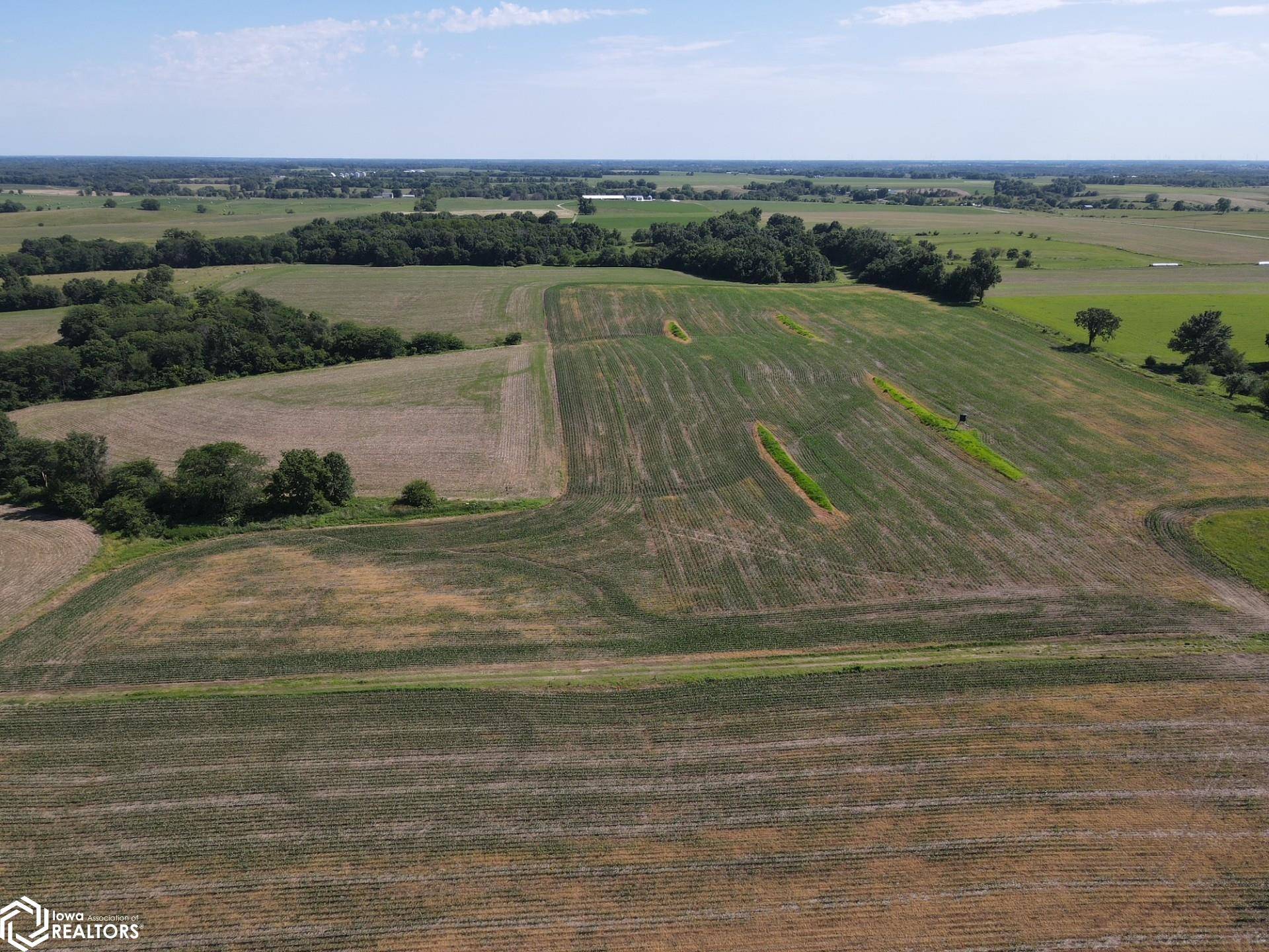 0000 Quinnine AVE, Bloomfield, IA 52537