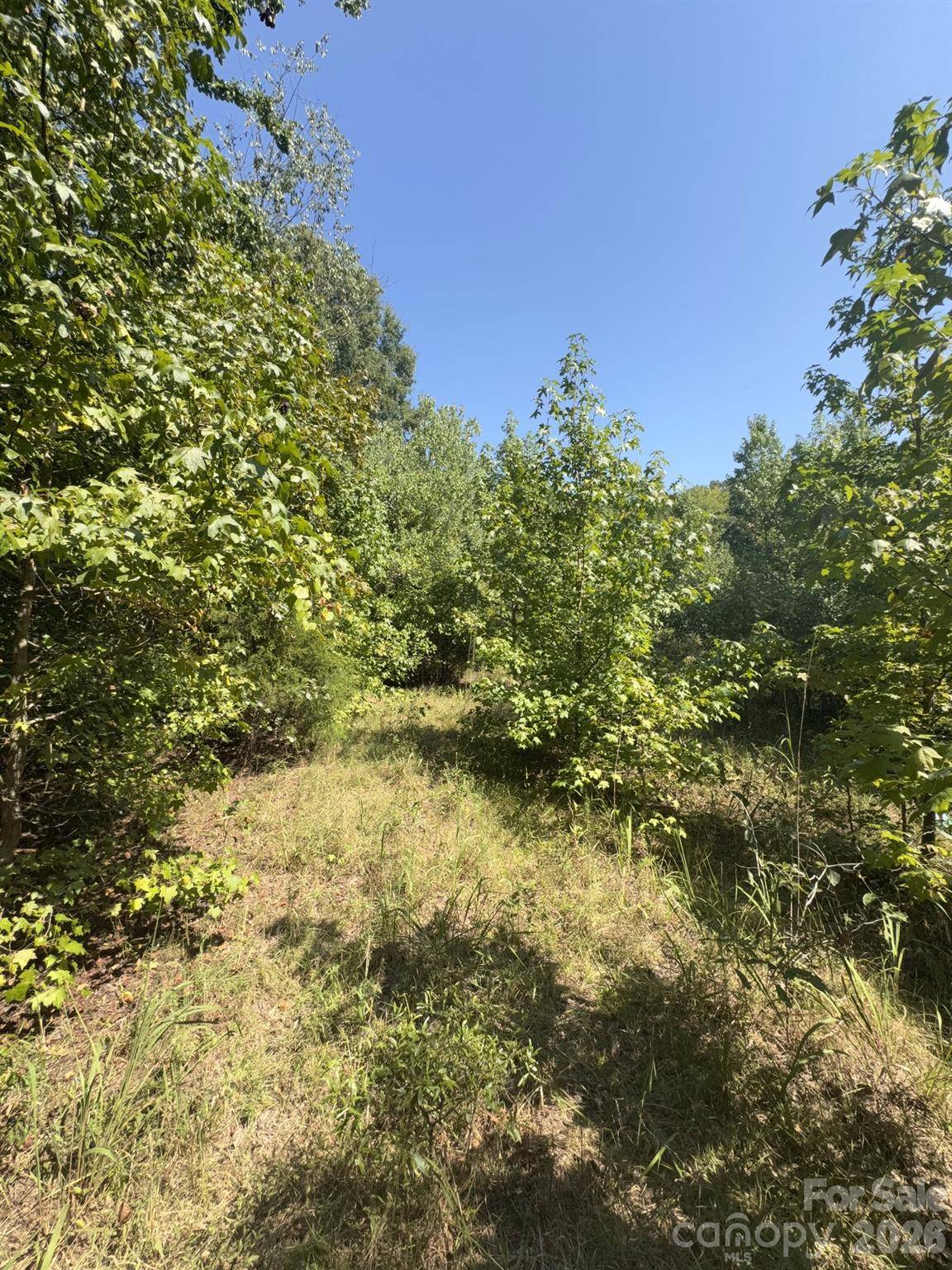 0 Flat Swamp RD, Denton, NC 27239