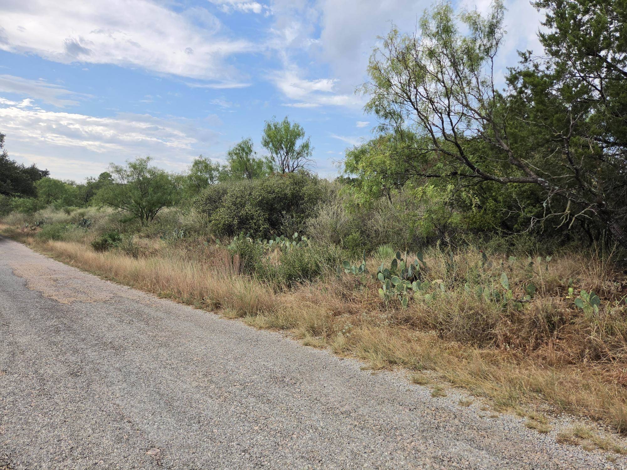 Lots 112, 113 Cedarhill DR, Granite Shoals, TX 78654