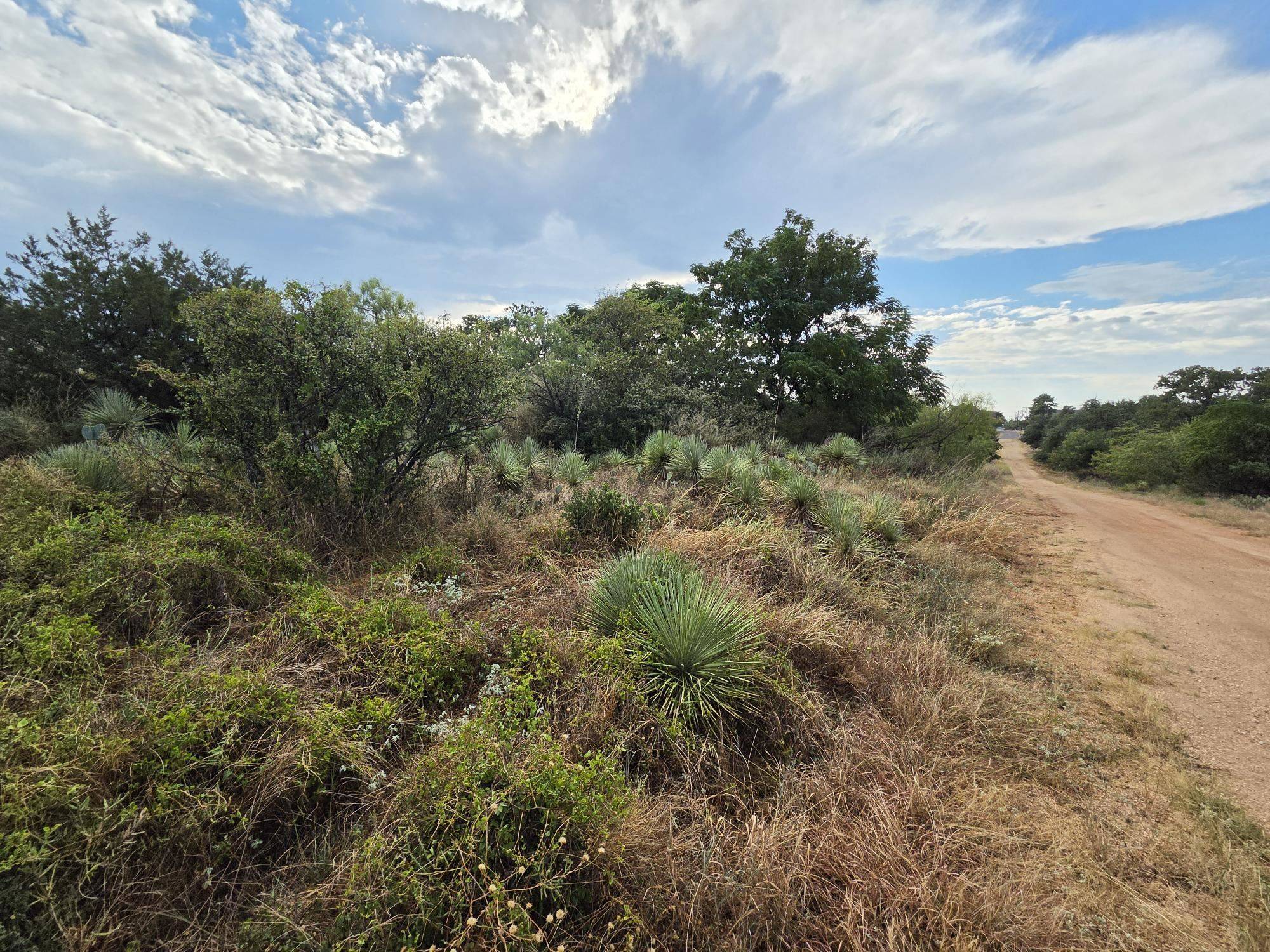 Lots 112, 113 Cedarhill DR, Granite Shoals, TX 78654