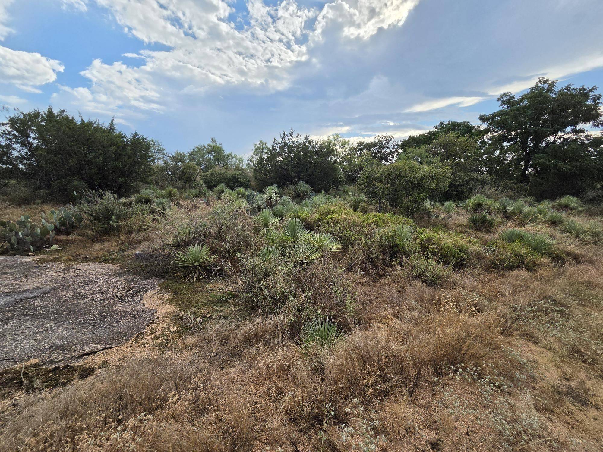 Lots 112, 113 Cedarhill DR, Granite Shoals, TX 78654